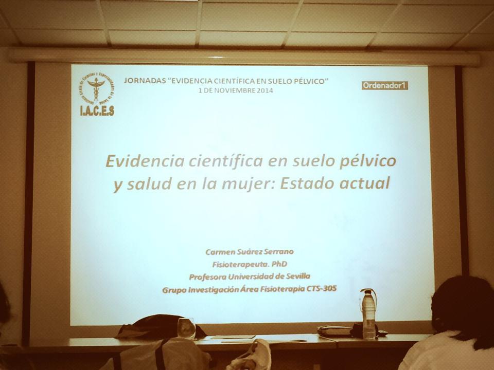 Evidencias científicas en Suelo pélvico
