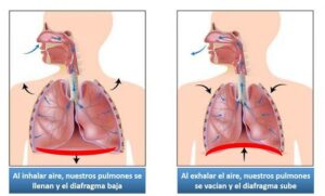 hipertonia-suelo-pelvico