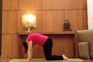 yoga suelo pelvico marjariasana2
