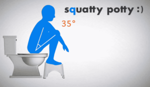 Potty-squatty
